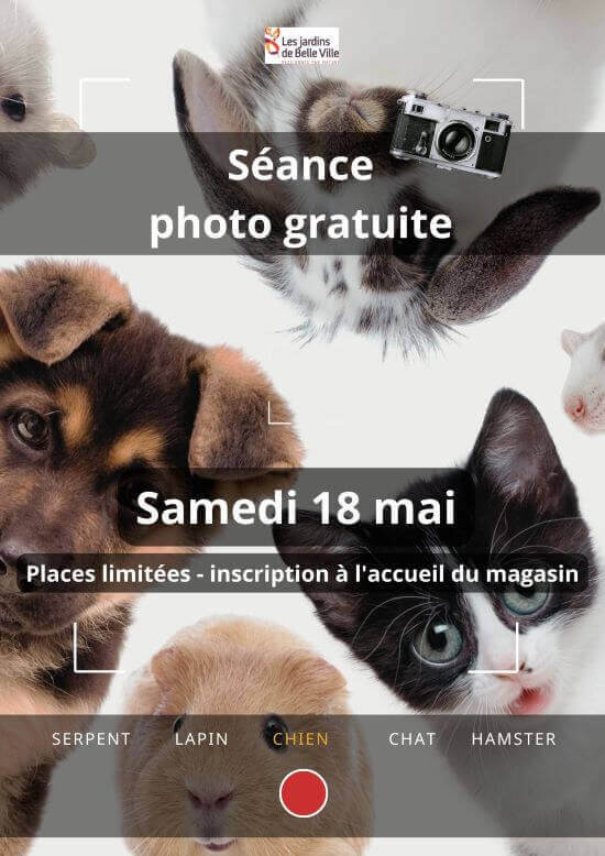 affiche séance photo animaux
