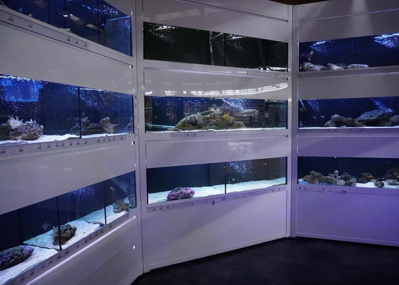 aquarium