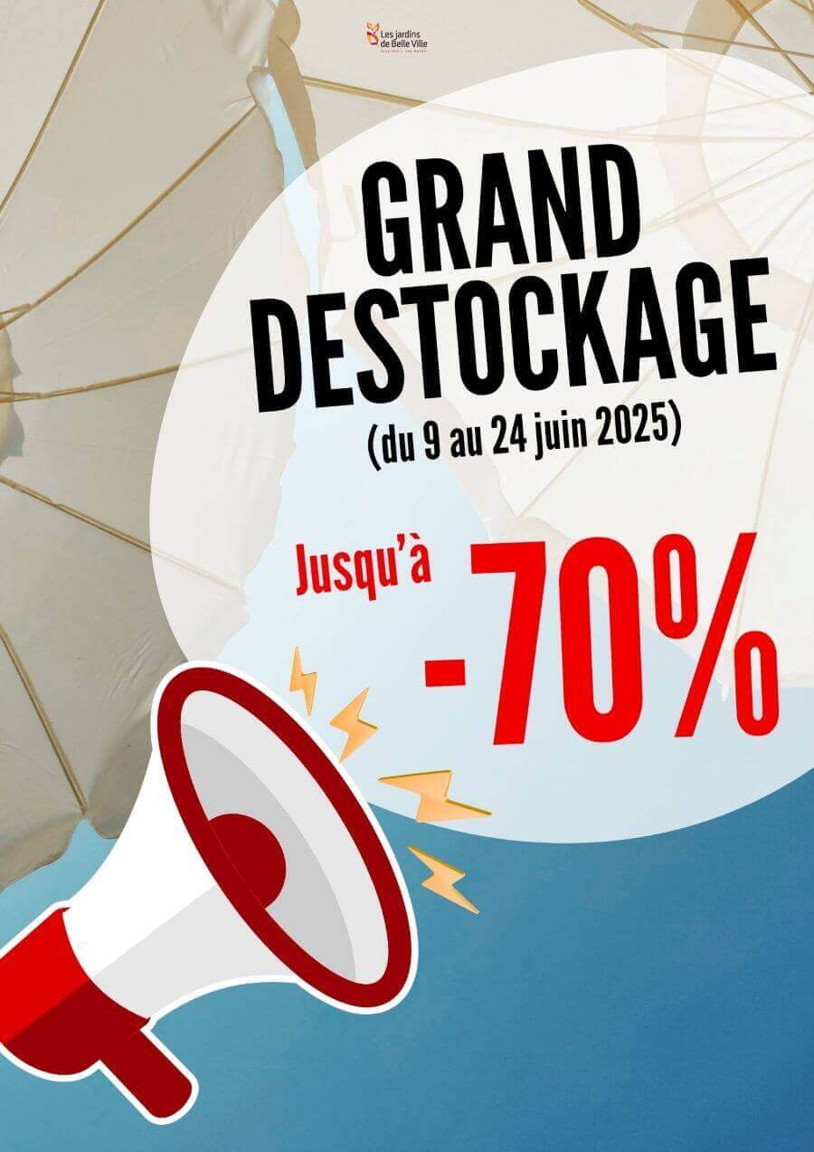 Braderie 2025