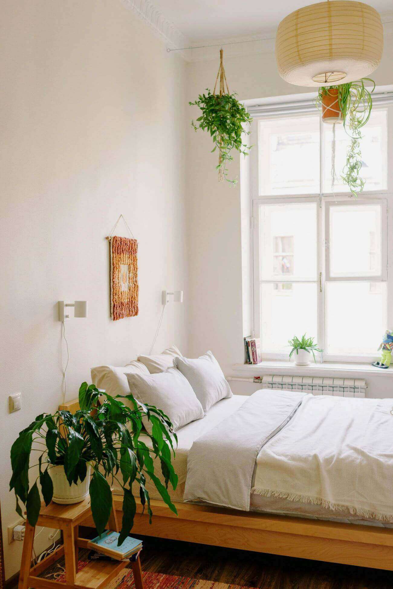 chambre avec plantes vertes