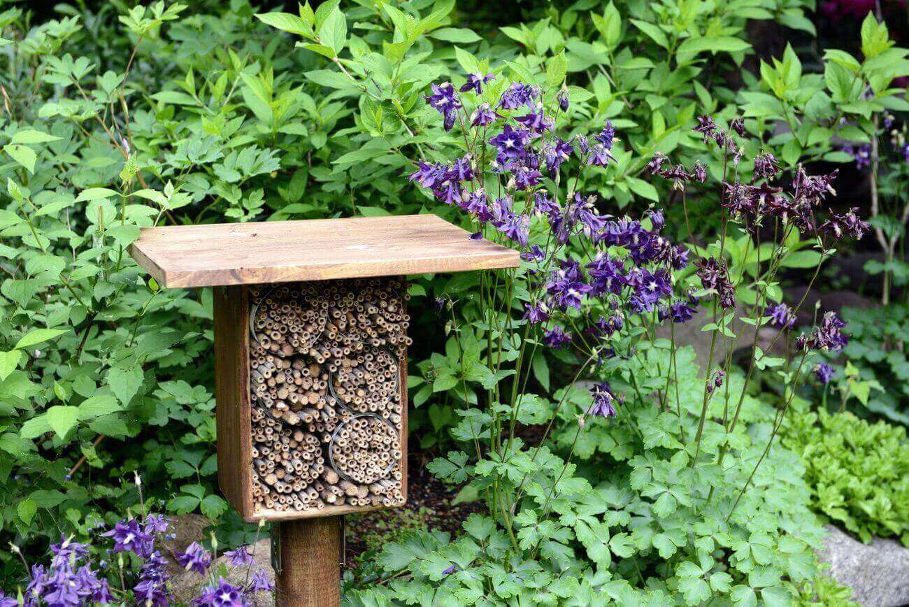polliniser mon jardin